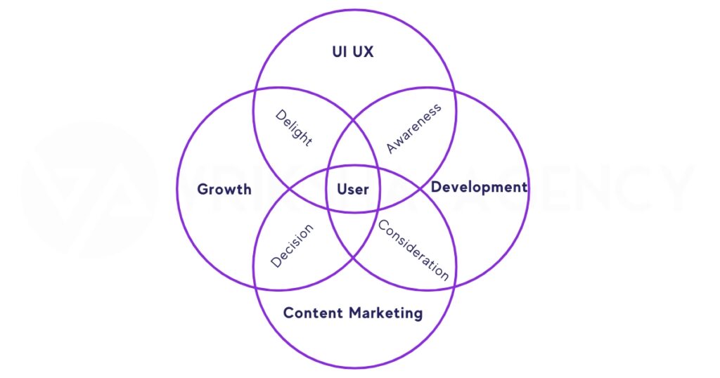 Vriksha Agency's Industry Standard Website Development Process